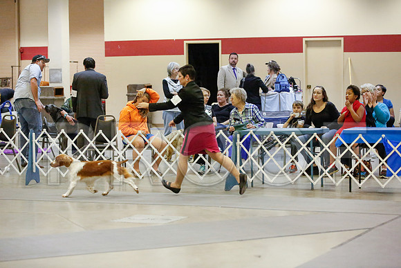 _JN_8612-AmarilloSept2014-HR3