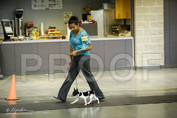 _JJ_5948-BeltonJan2015IABCA-HR3