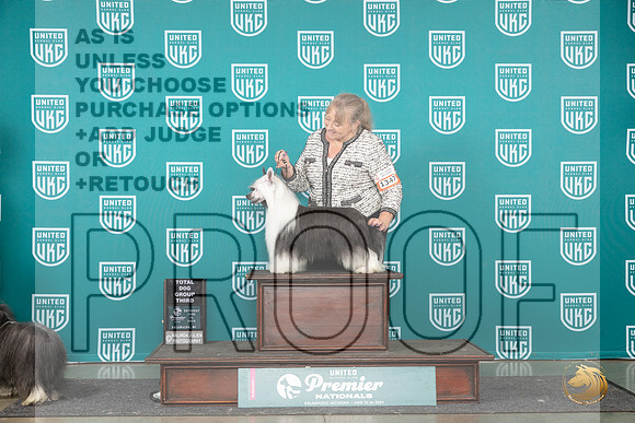 Chinese Crested #1347 Sat TDG3 Judge Carianna Glenn__JP_2647_Premier_2024_HR3