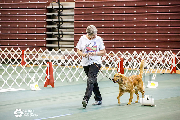 _JJ_4655-BsrCtyJun2014-HR3