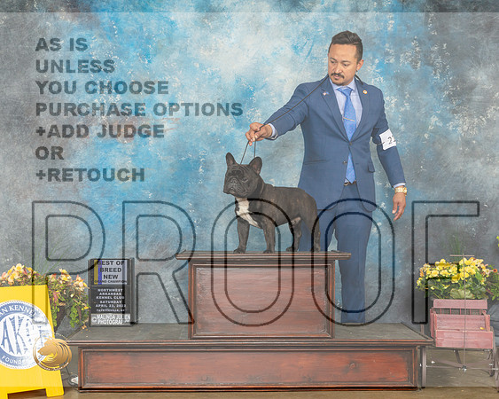 French Bulldog #21 Sat BOBNGCh Judge James Fehring-MMJ_0807-NWARK2022-HR3