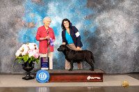 Amy Peterson Houston 2022