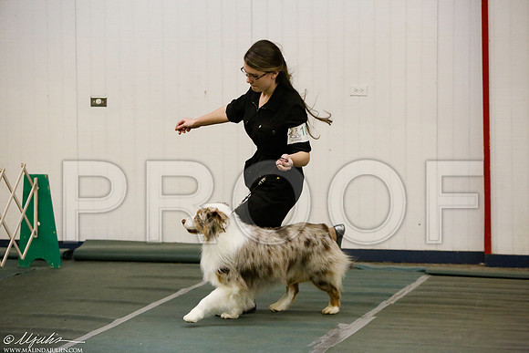_MJ_5713-DentonMar2015-HR3