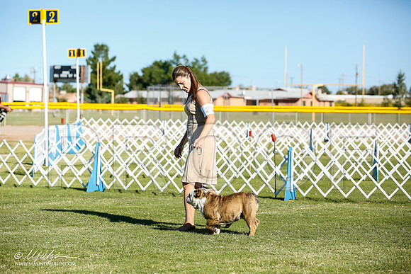 _JN_8322-AlamogordoOct2014-HR3
