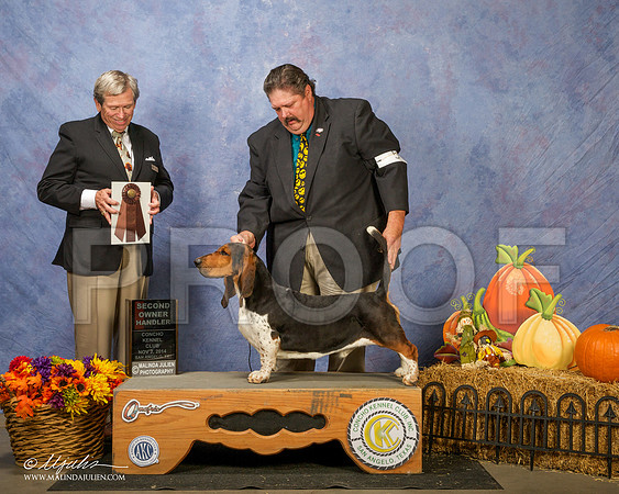 _CL_4642 - Version 2-SanAngelo2014-HR3