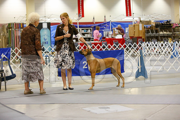 _JN_3127-AmarilloSept2014-HR3