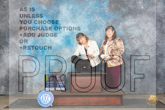 Affenpinscher #6 Sat OHRBIS Judge Polly Smith OHG1 Judge Beth __JP_5679_San Antonio_2024_HR3