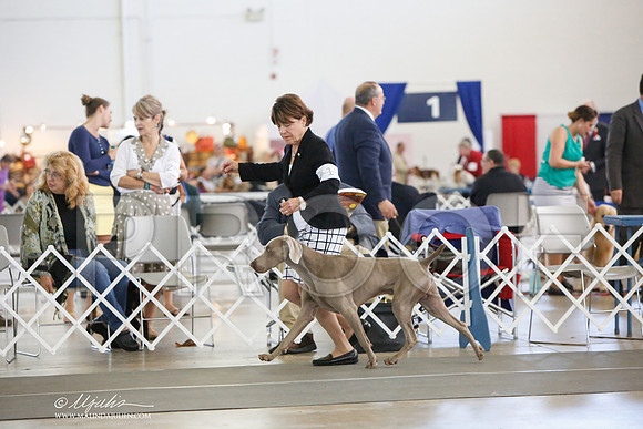 _JJ_0020-DallasJul2014-HR3