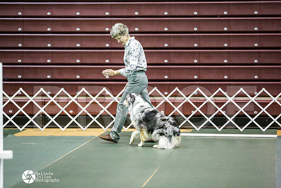 _RH_8878-BsrCtyJun2014-HR3