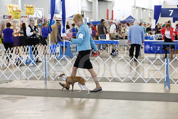 _CK_9456-2-DallasJul2014-HR3