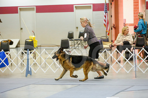 _JJ_3969-AmarilloSept2014-HR3
