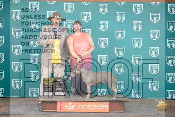 American Bully #125 Sat NChamp G4 Allan Krenek__JP_1399_Longview WA_2024_HR3