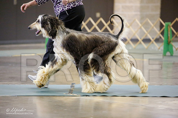 _JN_4002-BeltonJan2015-HR3