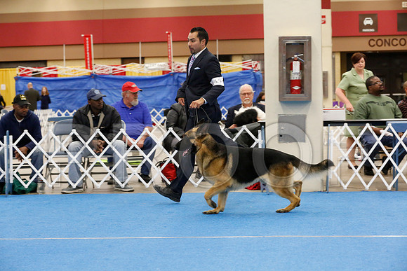 _RH_5197