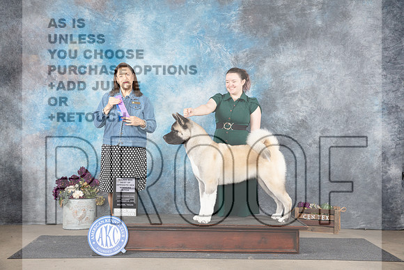 Akita #10 Sat WBM Judge Joan Liebes_JP_7022e_Belton2024_HR3
