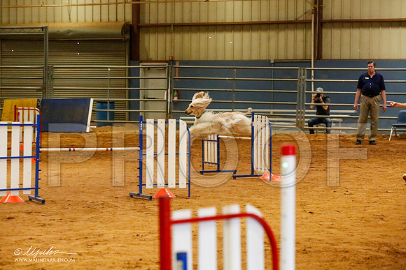 _MJ_2495-AfgBeltonOct2014-HR3