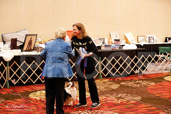 _JJ_8380-HstnCorgiFeb2015-HR3