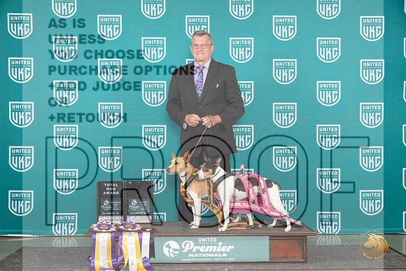 Rat Terriers #553 #554__JP_3038_Premier_2024_HR3