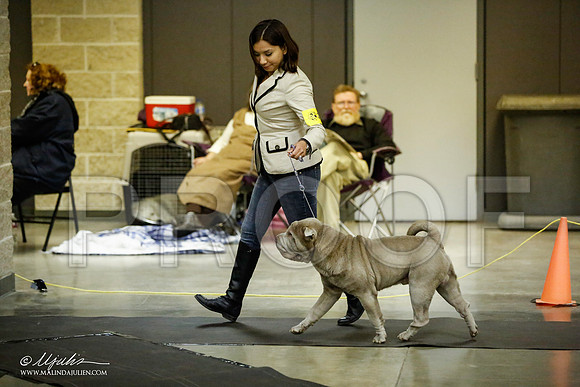 _JJ_5795-BeltonJan2015IABCA-HR3