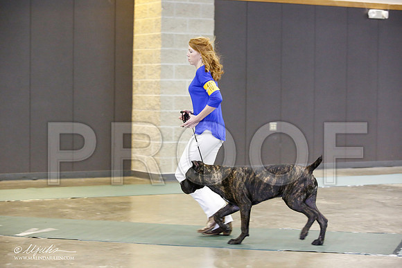 _JN_1670-BeltonJan2015-HR3