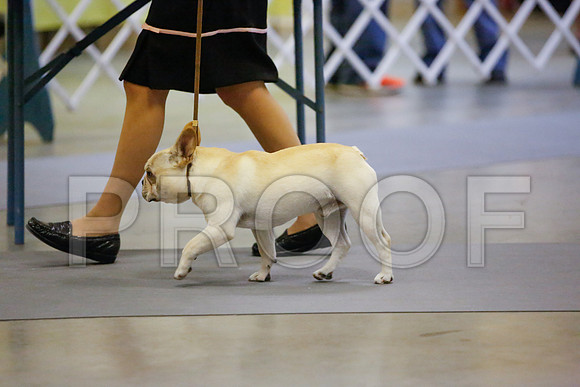 _JN_7499-AmarilloSept2014-HR3