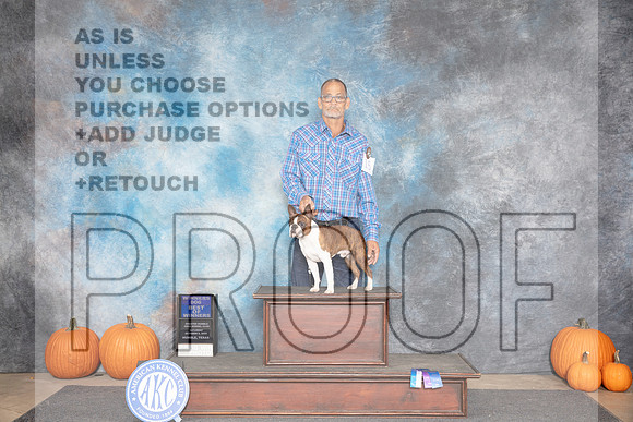 Boston Terrier #15 Sat WDBOW Judge Danelle Brown__JP_8597_Humble_2024_HR3