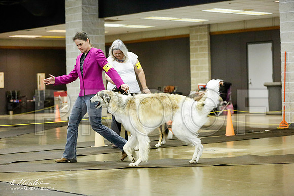 _RH_1333-BeltonJan2015IABCA-HR3