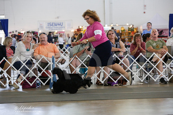 _JJ_1489-DallasJul2014-HR3