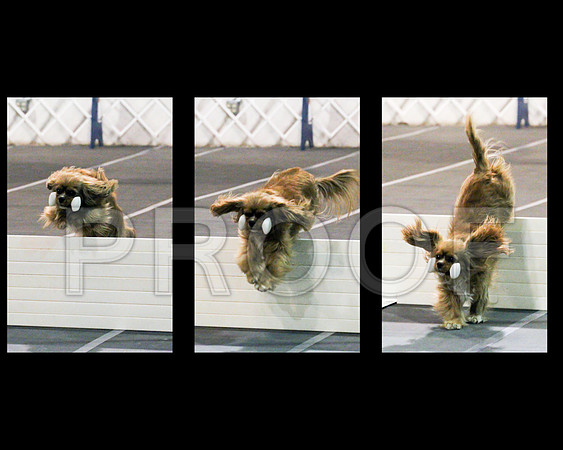 triptych 3web