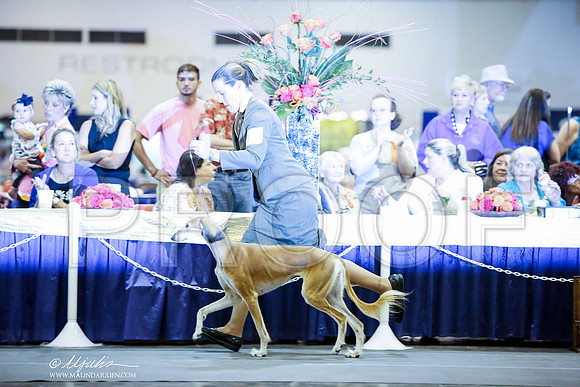 _JJ_1088-HstnJul2014-HR3