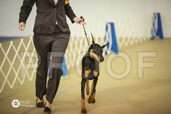 Dobe-7459-HtoJan14-HR
