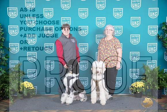 Poodles Std Banquet__JP_2856_UKCTDI2024_HR3