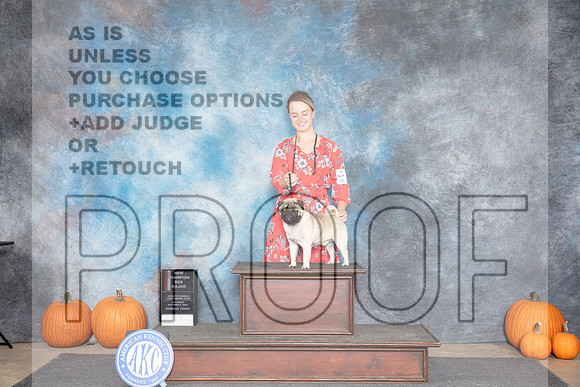 Pug #9 Sat WDBOS M NCH Judge Ray Filburn__JP_8574_Humble_2024_HR3