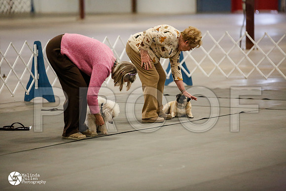 _N9A0686-BltnApr14-HR