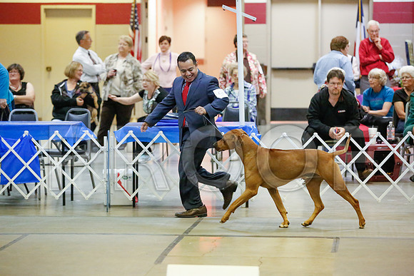 _JJ_9635-AmarilloSept2014-HR3