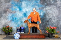Vizsla #8 Sat WBBOWCH Judge Elizabeth ‘Beth’ Sweigart
