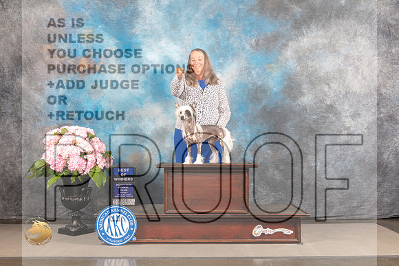 Chinese Crested #22 FRI WB BOW Judge Ken Murray_MJ_5230_Houston_2022_HR3