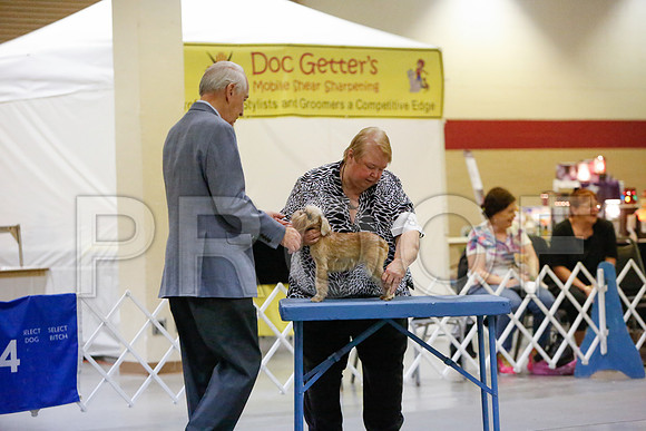 _JJ_2216-AmarilloSept2014-HR3