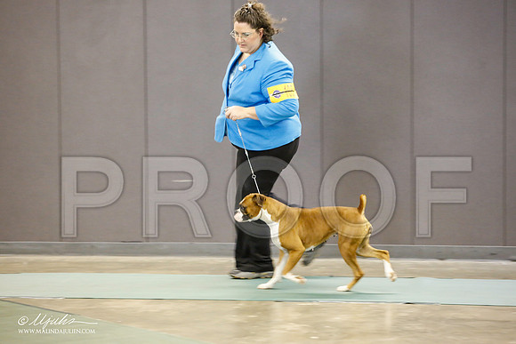 _JN_1639-BeltonJan2015-HR3