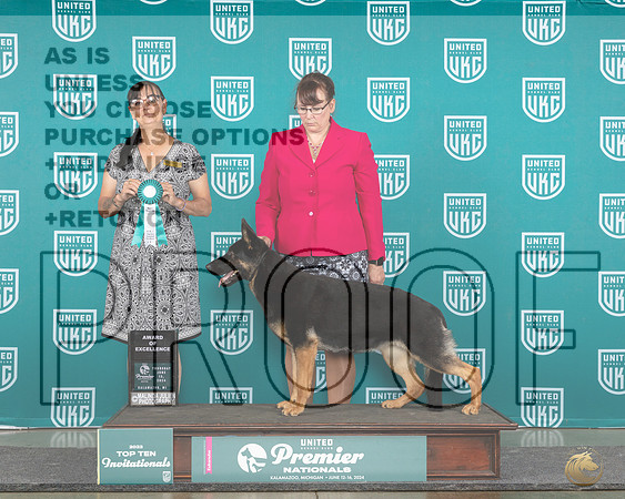 German Shepherd Dog #870 Thur T10AOE Judge Stehpanie Mueller0942_Premier_2024_HR3