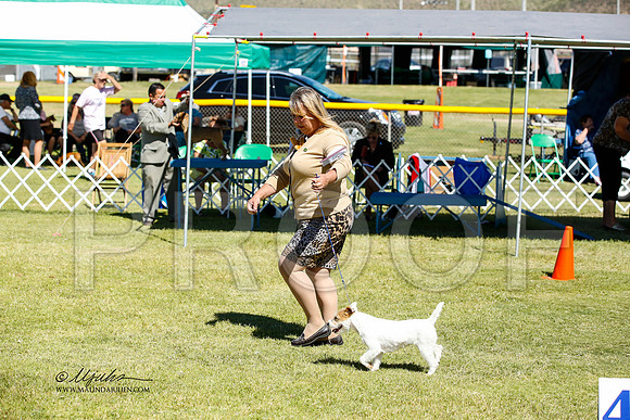 _JN_1128-AlamogordoOct2014-HR3
