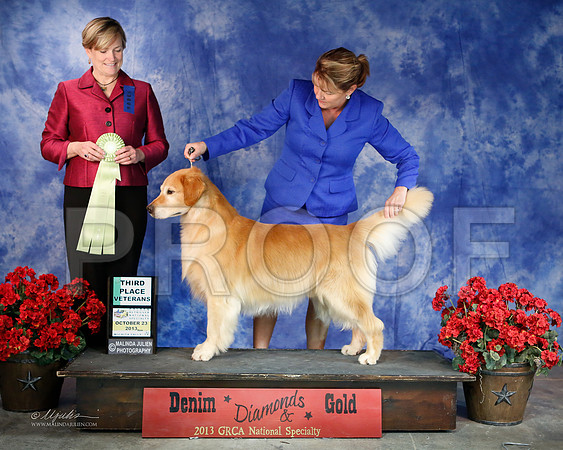 SweepsVet-6399-WFOct2013-HR