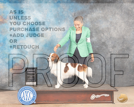 Kooikerhondje #5 Fri G3 Judge Gloria Kerr-MMJ_3325-Addison2022-HR3