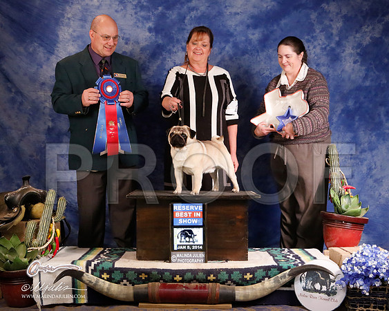 Pug-5686-GRJan14-HR