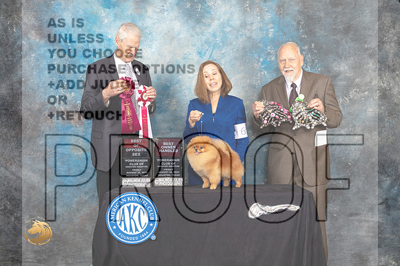 Pomeranian #6 Fri BOSOHBOB Judge Jon Cole_MJ_9651_HstnTOY_2022_HR3