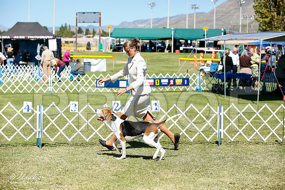 _JN_5215-AlamogordoOct2014-HR3