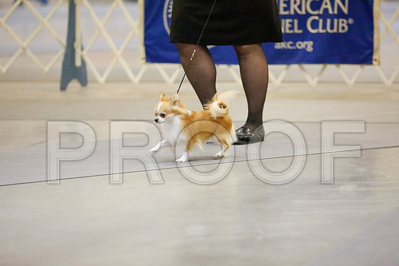 _JJ_8706-AmarilloSept2014-HR3