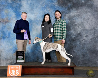 Christine Beisert UDOG Longview TX Jan 31 - Feb 2 2025
