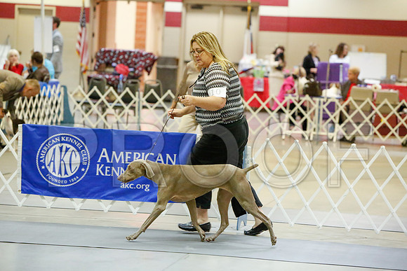 _JJ_2038-AmarilloSept2014-HR3