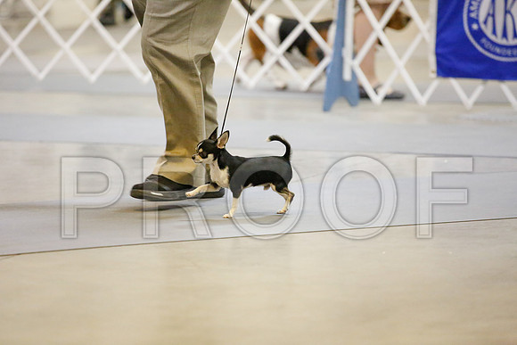 _JJ_8351-AmarilloSept2014-HR3